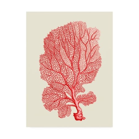 Fab Funky 'Red Corals 1 B' Canvas Art,14x19